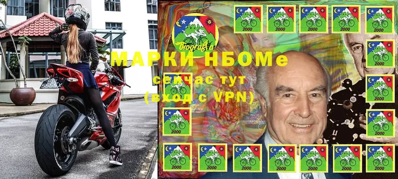 Марки N-bome 1500мкг  mega как войти  Елизово 